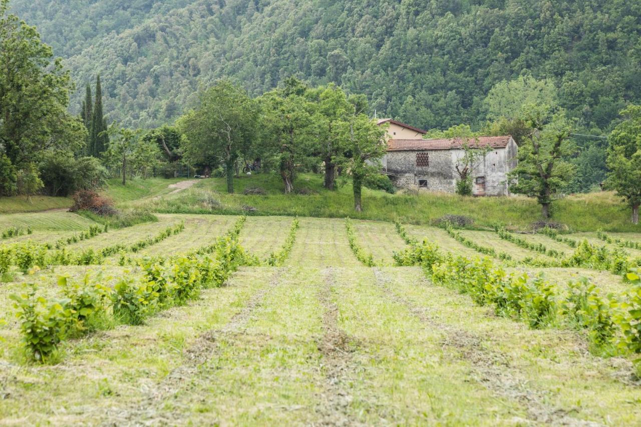 Podere Groppini 菲维扎诺 外观 照片