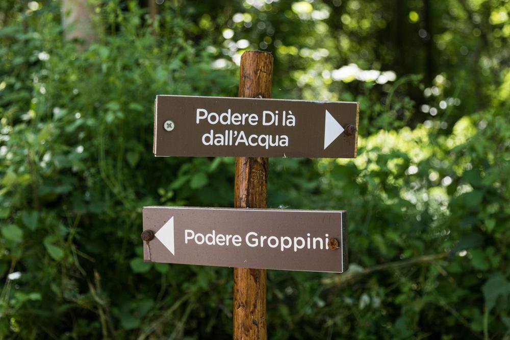 Podere Groppini 菲维扎诺 外观 照片