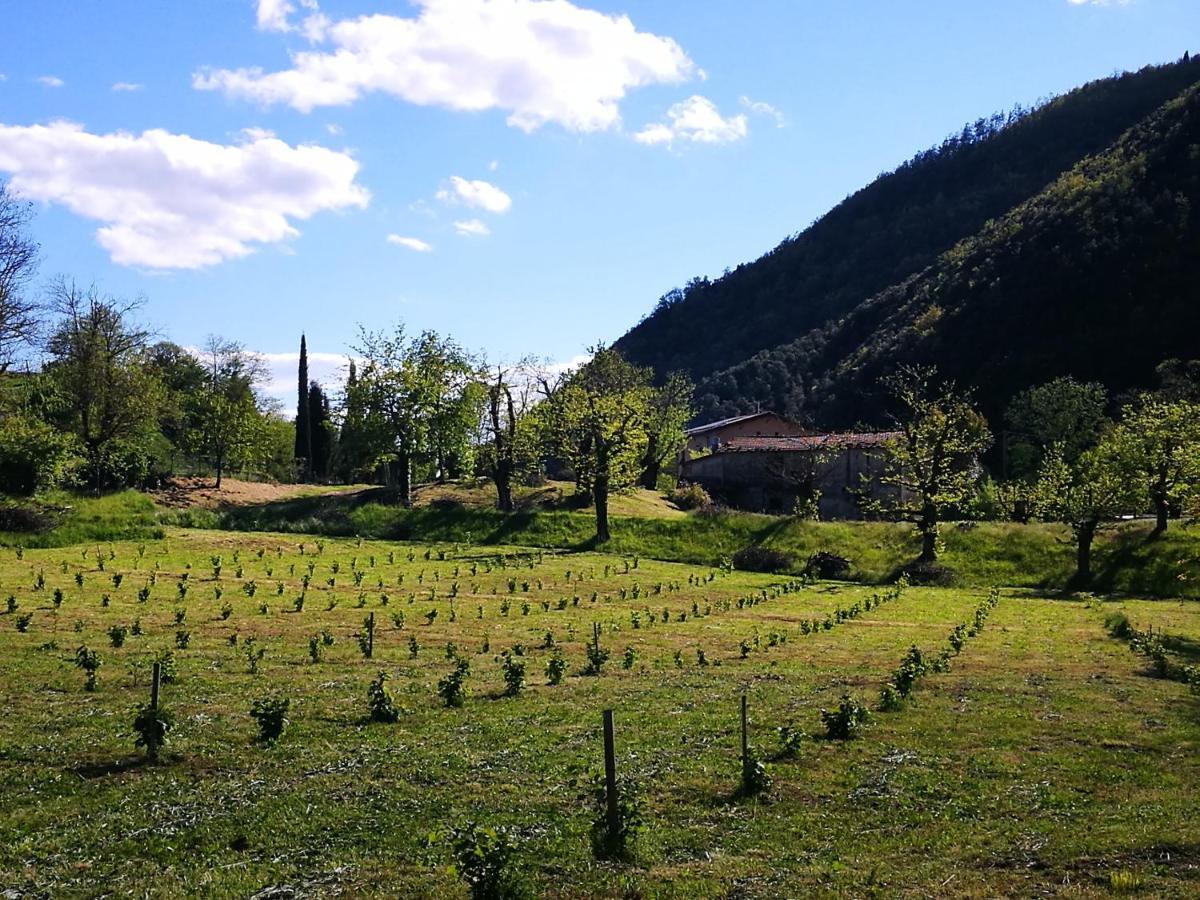 Podere Groppini 菲维扎诺 外观 照片